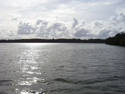Dora Creek
