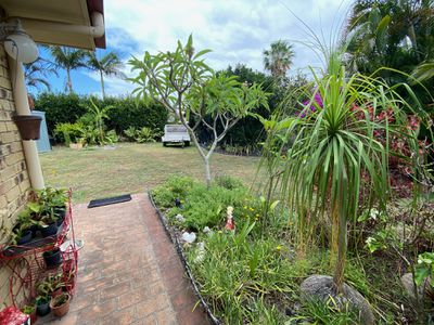 45 Ibis Boulevard, Eli Waters