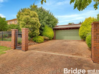 16 John Cleland Drive, Beaumont