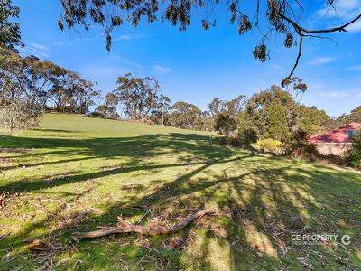 35 Kestel Road, One Tree Hill