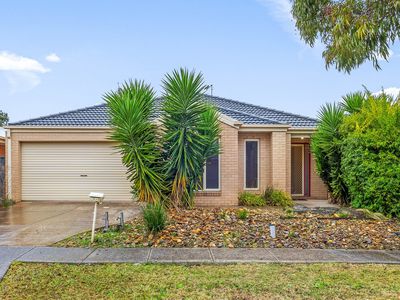 16 Cardinia Grove, Manor Lakes