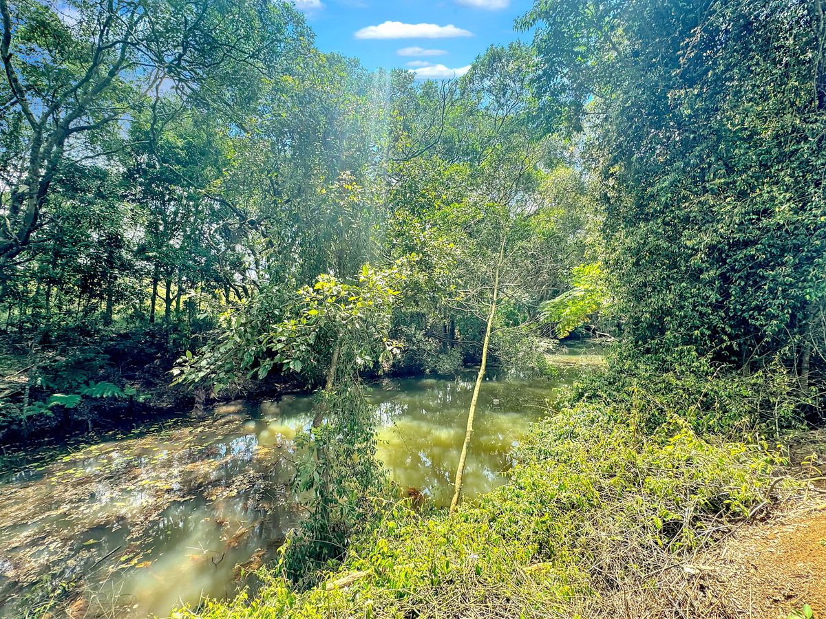 48 Russell Road West, Lake Eacham
