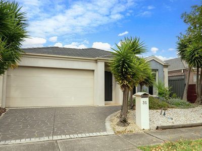 31 Hindmarsh Drive, Manor Lakes