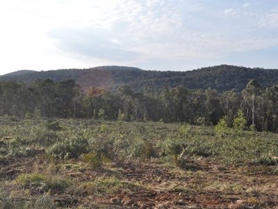 . Murray Valley Highway, Koetong