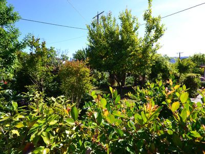 53 Freeburgh Avenue, Mount Beauty