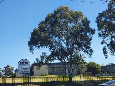 87 Binalong Road, Old Toongabbie
