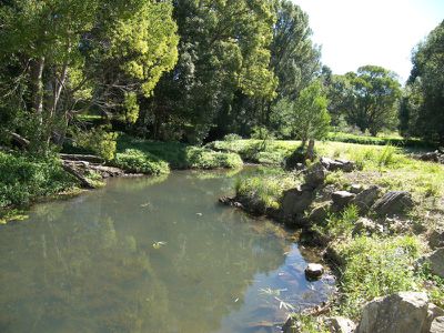 59 Crabbes Creek Rd, Crabbes Creek