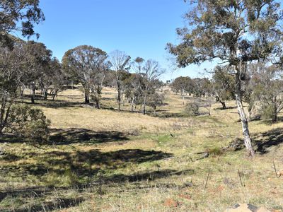 489 Inn Road, Ben Lomond