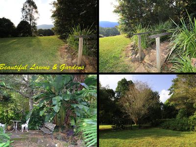 2012 Nimbin Road, Coffee Camp