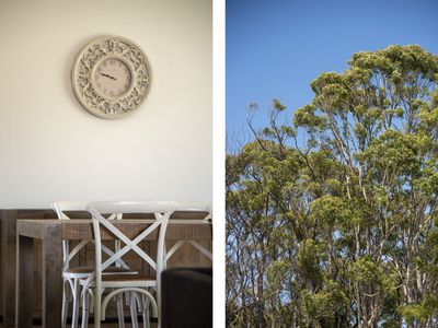 9 Pedder Drive, Burrill Lake