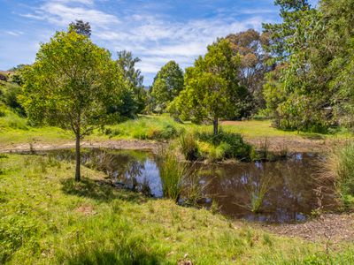 1191 Woodbridge Hill Road, Gardners Bay