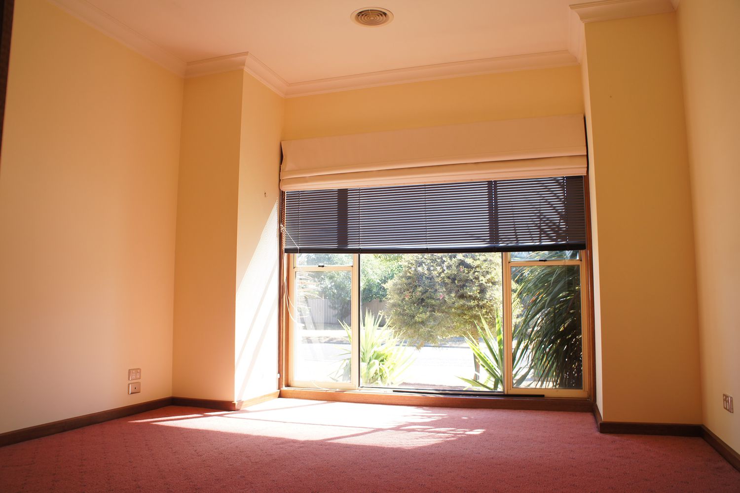 1 / 6 Carroll Street, Horsham