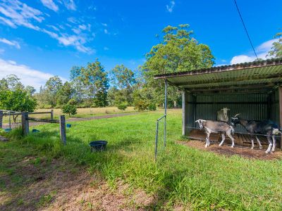188 Stony Chute Road, Nimbin
