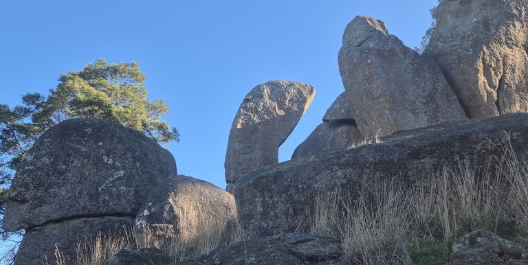 122 Delatite County, Gooram