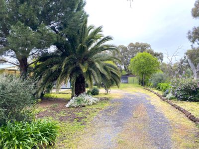 59 Peppercorn Way, Serpentine