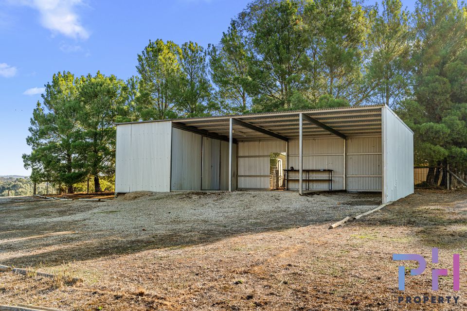 19 Trent Court, Axe Creek