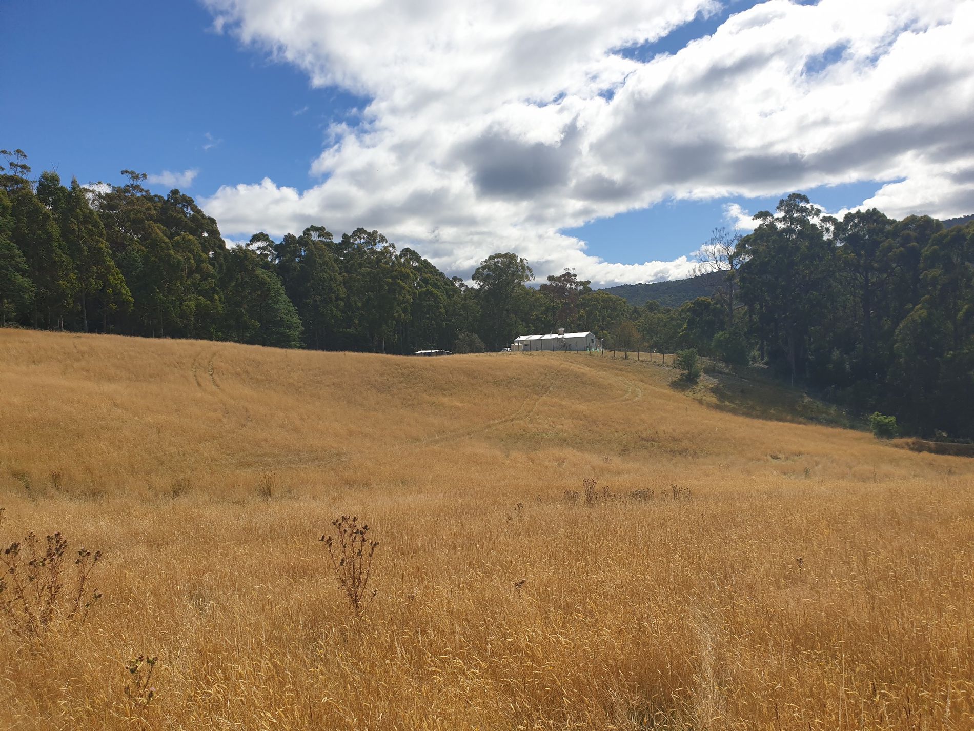 Lots 1 & 3 Plummers Road, Southport