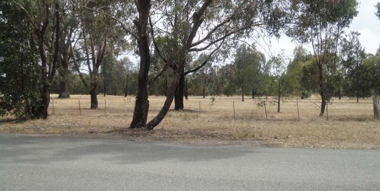 41 Shiffner Street, Violet Town