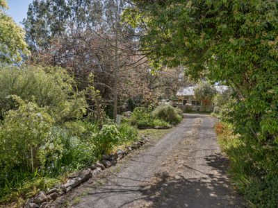 3A Pink Street, Violet Town