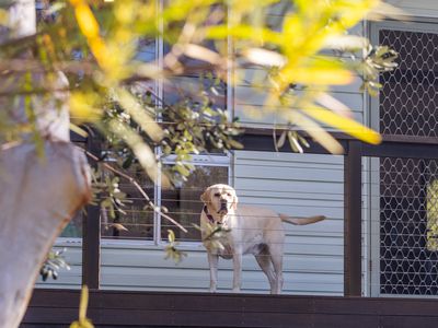 3 Pine Street, Bendalong