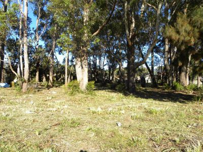 Lot 82, 156 Jacobs Drive, Sussex Inlet