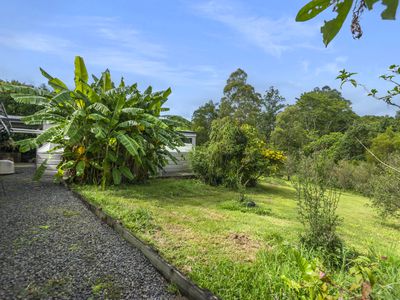 61 Tulsi Lane, Nimbin