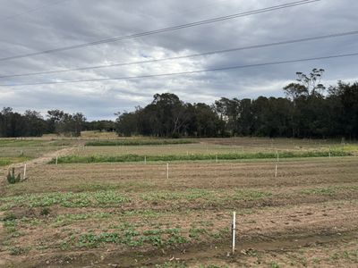 203 Heath Road, Leppington