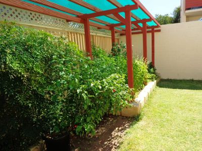 5 / 20 Queens Crescent, Mount Lawley