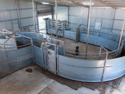 66 Londrigan-Tarrawingee Road, Londrigan