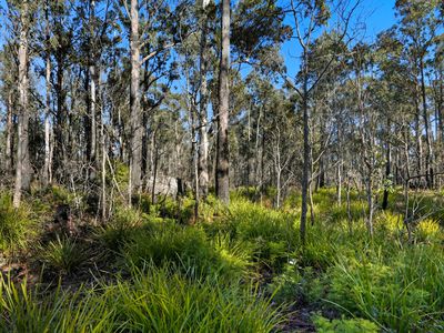 123 Lake View Road, Lake Leake