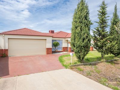 7 Walnut Court, Shepparton
