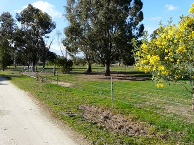 87 Honniball Drive, Tocumwal