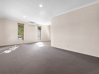 12 Pepper Tree Street, Calamvale