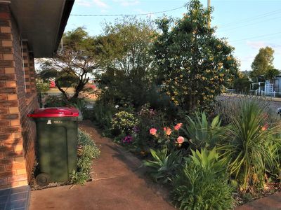 126 Ivy Street, Kingaroy