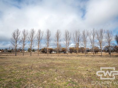 Lot 6,  Llangothlin Road, , Guyra