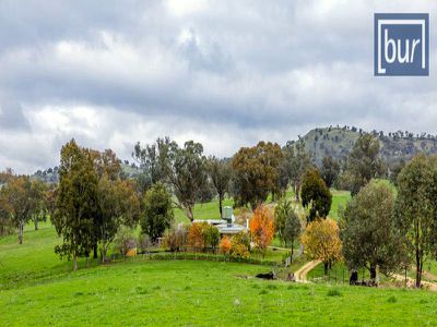 1242 Wymah Road, Bowna