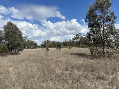 79 Mercadool Lane, Bogan Gate