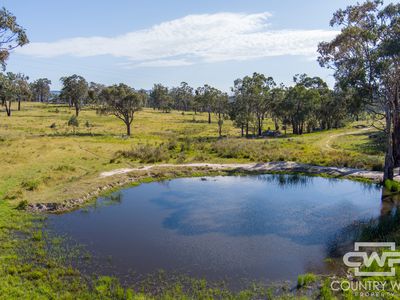 391 Carrot Farm Road, Deepwater