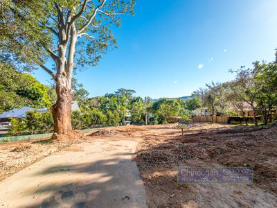 16C Azalea Street, Mullumbimby