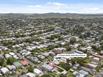 61 Perkins Street, Upper Mount Gravatt