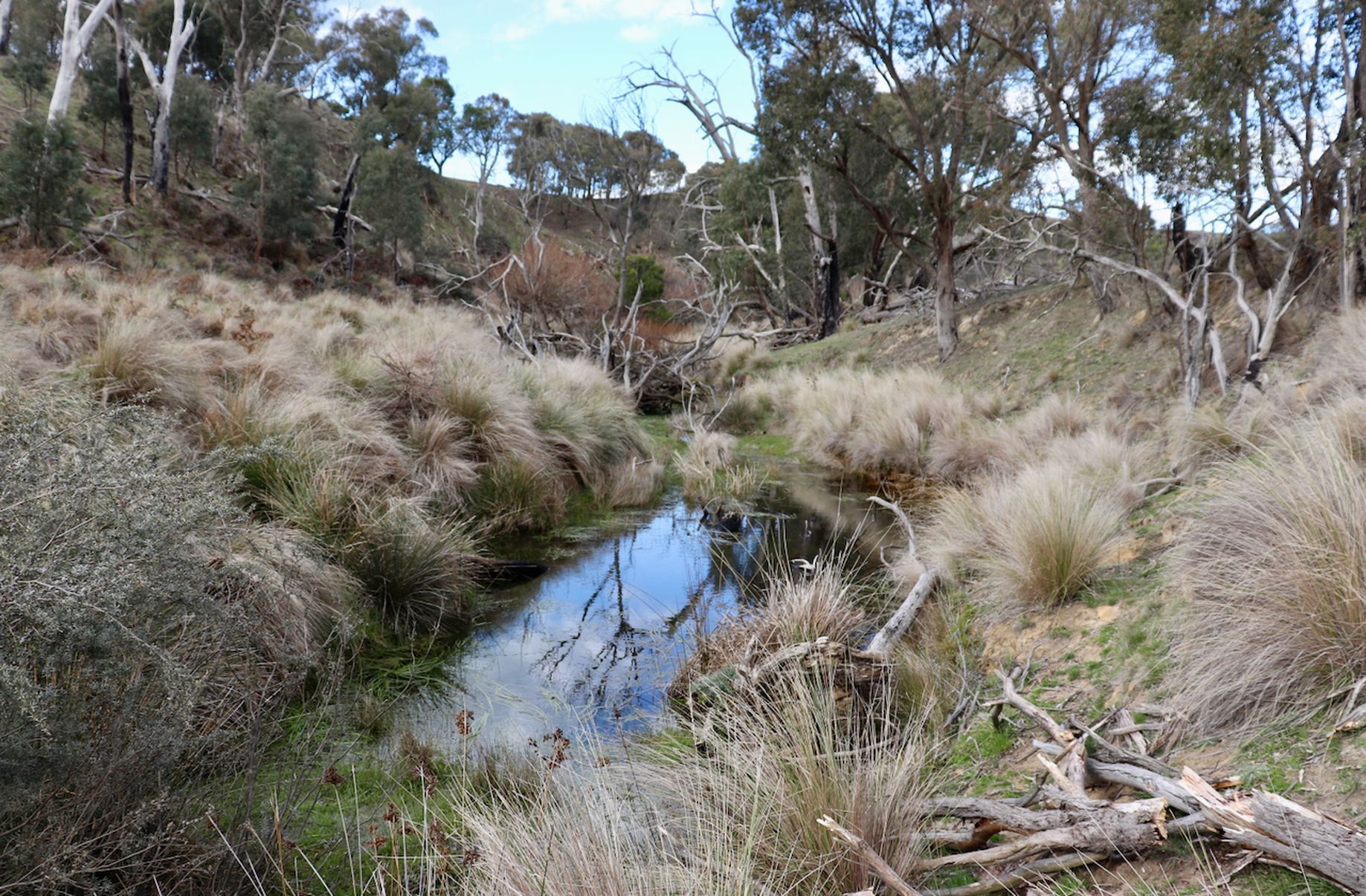 Lot 13, 13A, 13B, 31A &, 31C BRIDGE ROAD, Grenville