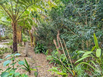 4 Lloyd Place, Mystery Bay