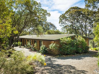 54 Tebbs Road, Narooma