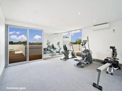 314 / 53 Palmer Street, Cammeray