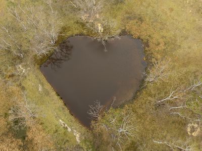 107 Webbs Road, Braidwood