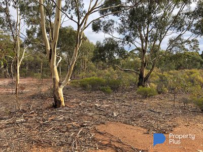 60D Mt. Kerang Road, Buckrabanyule