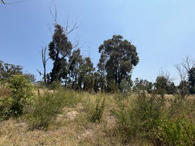 69 Karbeethong Avenue, Mallacoota