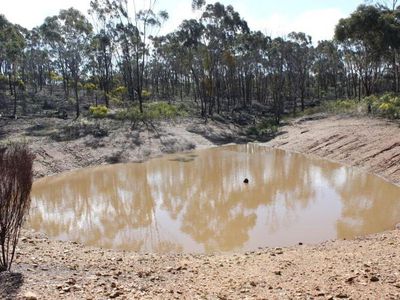 415 Boort Wedderburn Road, Wedderburn