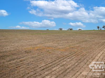 Lot Plain View, 916 Emmaville Road, Glen Innes