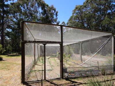 616 Abels Bay Road, Eggs And Bacon Bay